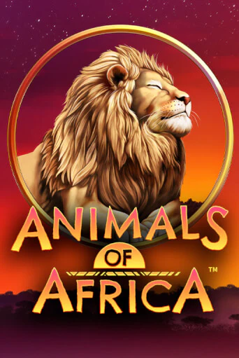 Animals of Africa ™ играть онлайн | Казино ПокерДом без регистрации