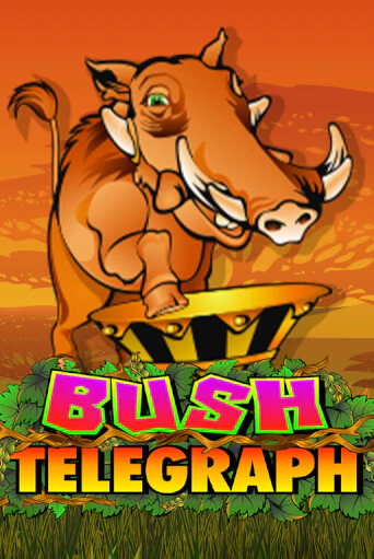 Bush Telegraph играть онлайн | Казино ПокерДом без регистрации