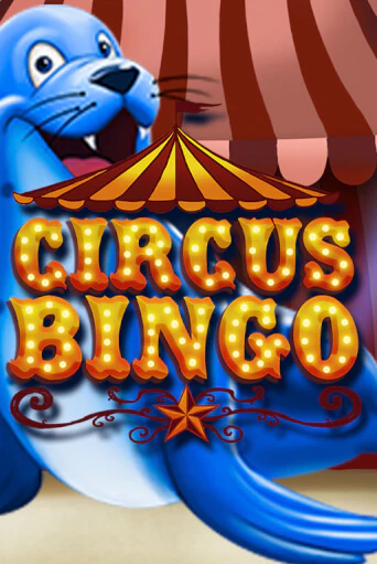 Circus Bingo играть онлайн | Казино ПокерДом без регистрации