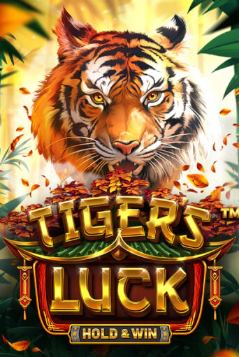 Tiger's Luck - Hold & Win играть онлайн | Казино ПокерДом без регистрации