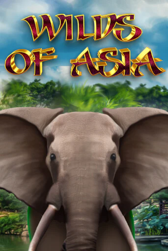 Wilds of Asia играть онлайн | Казино ПокерДом без регистрации