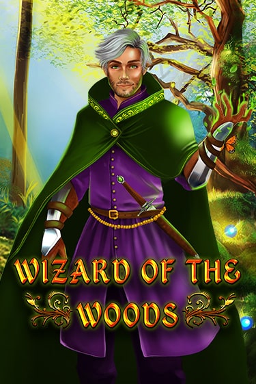 Wizard of the Woods играть онлайн | Казино ПокерДом без регистрации